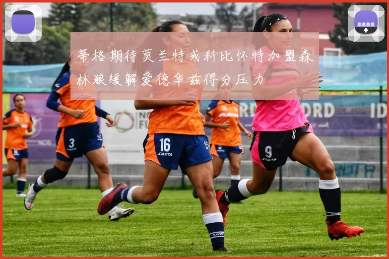蒂格期待莫兰特或科比怀特加盟森林狼缓解爱德华兹得分压力