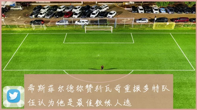 希斯菲尔德称赞科瓦奇重振多特队伍认为他是最佳教练人选
